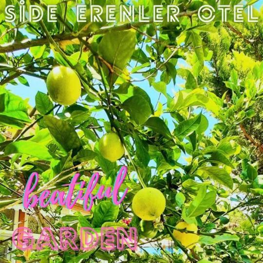 Side Erenler Hotel Εξωτερικό φωτογραφία
