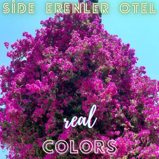 Side Erenler Hotel Εξωτερικό φωτογραφία